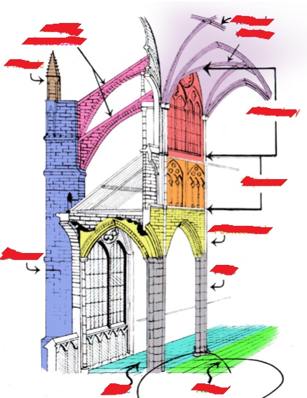 <p>Name these structures </p>