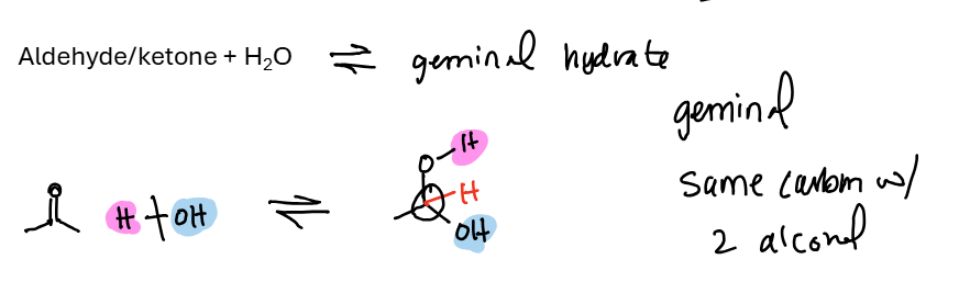<ul><li><p><span style="background-color: transparent;">Aldehyde / Ketone + H2O = geminal hydrate (twin alcohols)</span></p><ul><li><p><span style="background-color: transparent;">Ketones equilibrium lies mostly to the left, less reactive. Formaldehyde lies mostly to the right as a geminal hydrate</span></p></li></ul></li></ul><p></p>