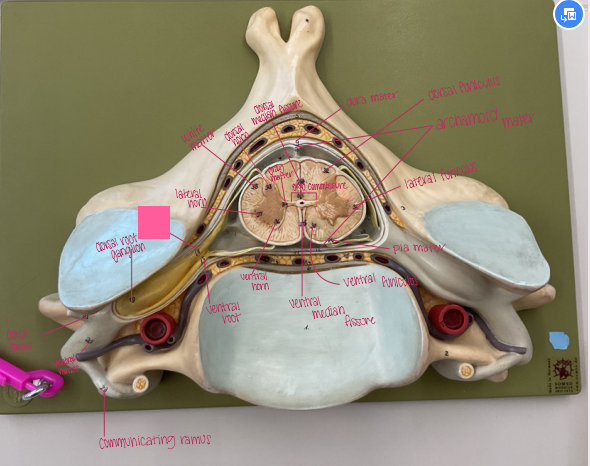 <p>What is being shown? </p>
