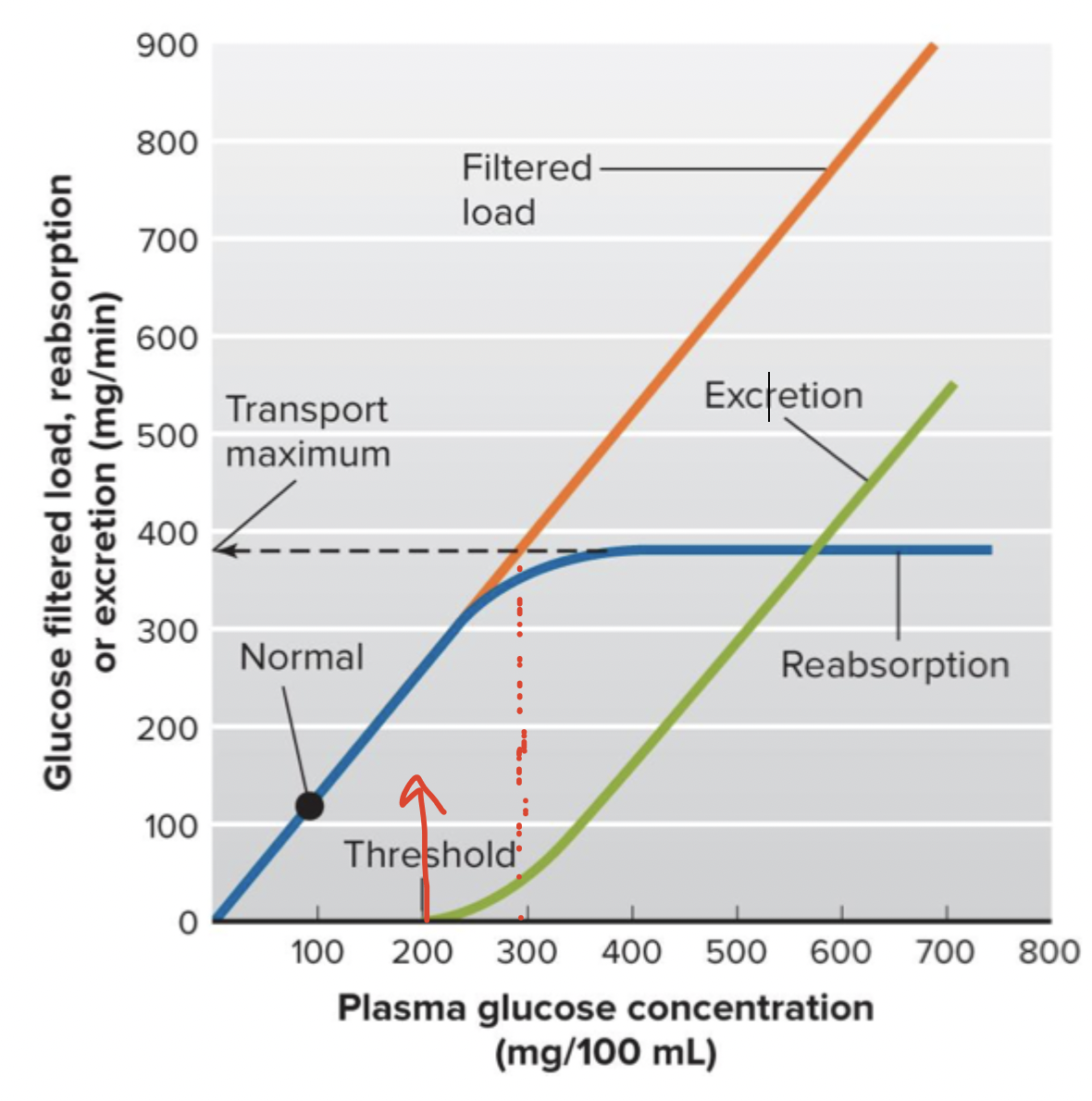 <p>Filtered load is normal, reabsorption keeps up with filtration at low plasma solute concentrations</p><p>Solute in urine with high plasma concentration will reabsorb but reach a transport maximum</p>