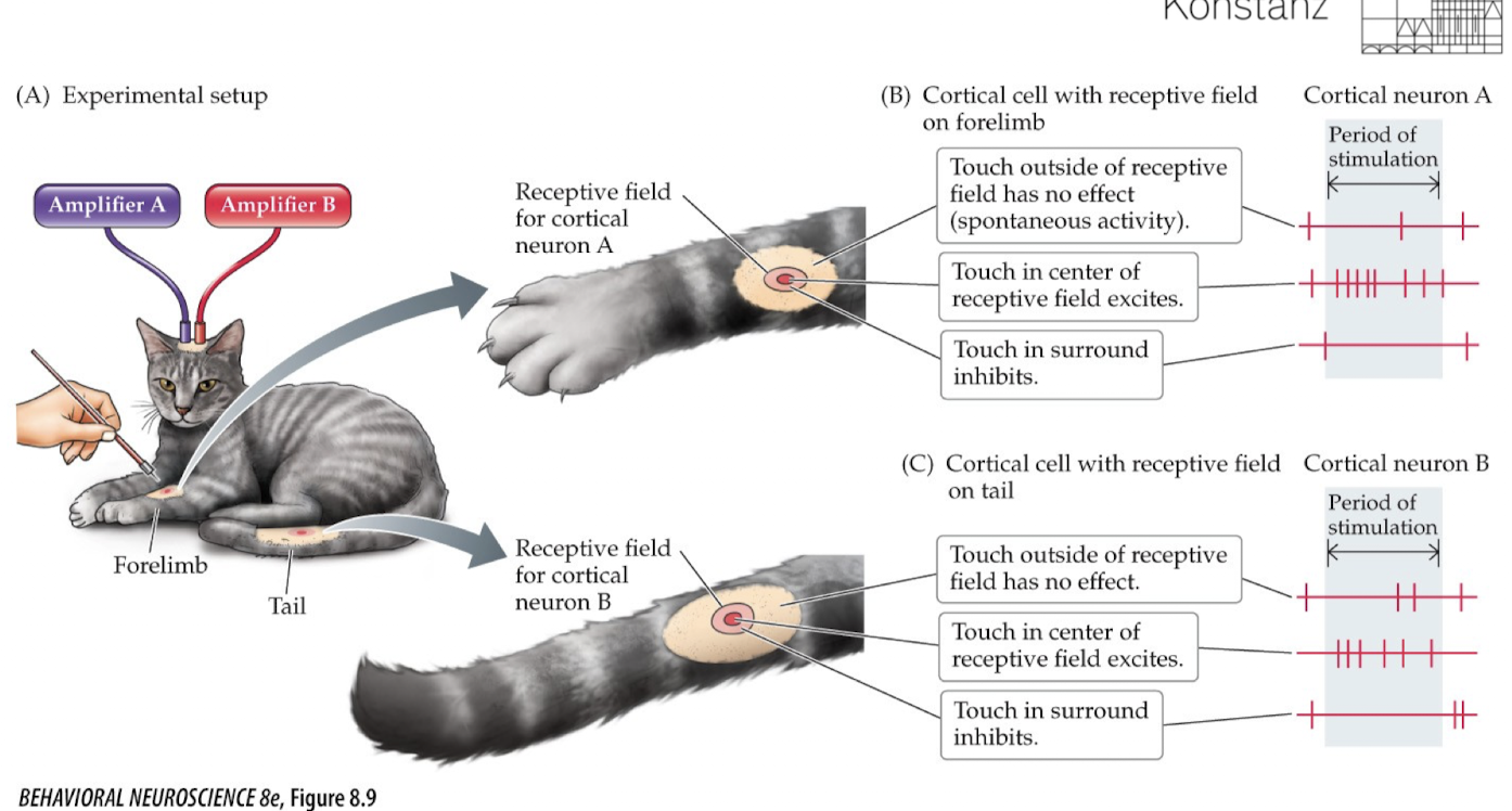 <p>What can you see here?</p>