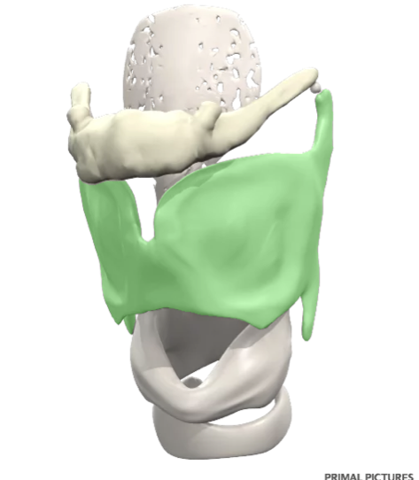 <p>what is this?</p>