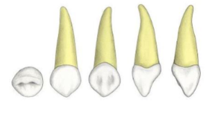 <p>?</p>