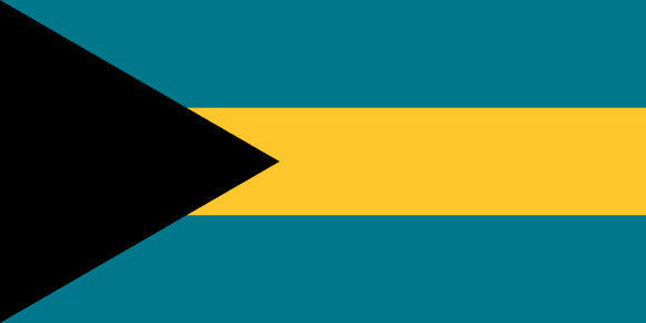 <p> </p>