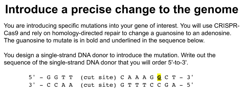 <p>(to introduce precise change to the genome via CRISPR-Cas9 & HDR)</p><p>give answer & explain the thought process</p><p>(~eh) when looking at the starting DNA in black, how would you do HDR via SDSA if using the top strand as the one that FIRST STARTS annealing to the repair template?</p><ul><li><p>which part would be the donor template vs 3’ overhang? explain the thought process</p></li></ul><p></p>