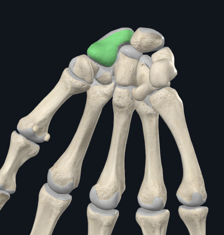 term image