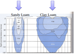 <p><span style="background-color: transparent; font-family: "Times New Roman", serif;">diffuse than soils with more <strong>macropores (larger pores)</strong>. Smaller pores “pull” water in first, once the smaller pores are full, medium and then larger pores are filled in response to the pressure gradient. </span></p><ul><li><p>ex: clay loam has smaller pores than sand loam</p></li></ul><p></p>
