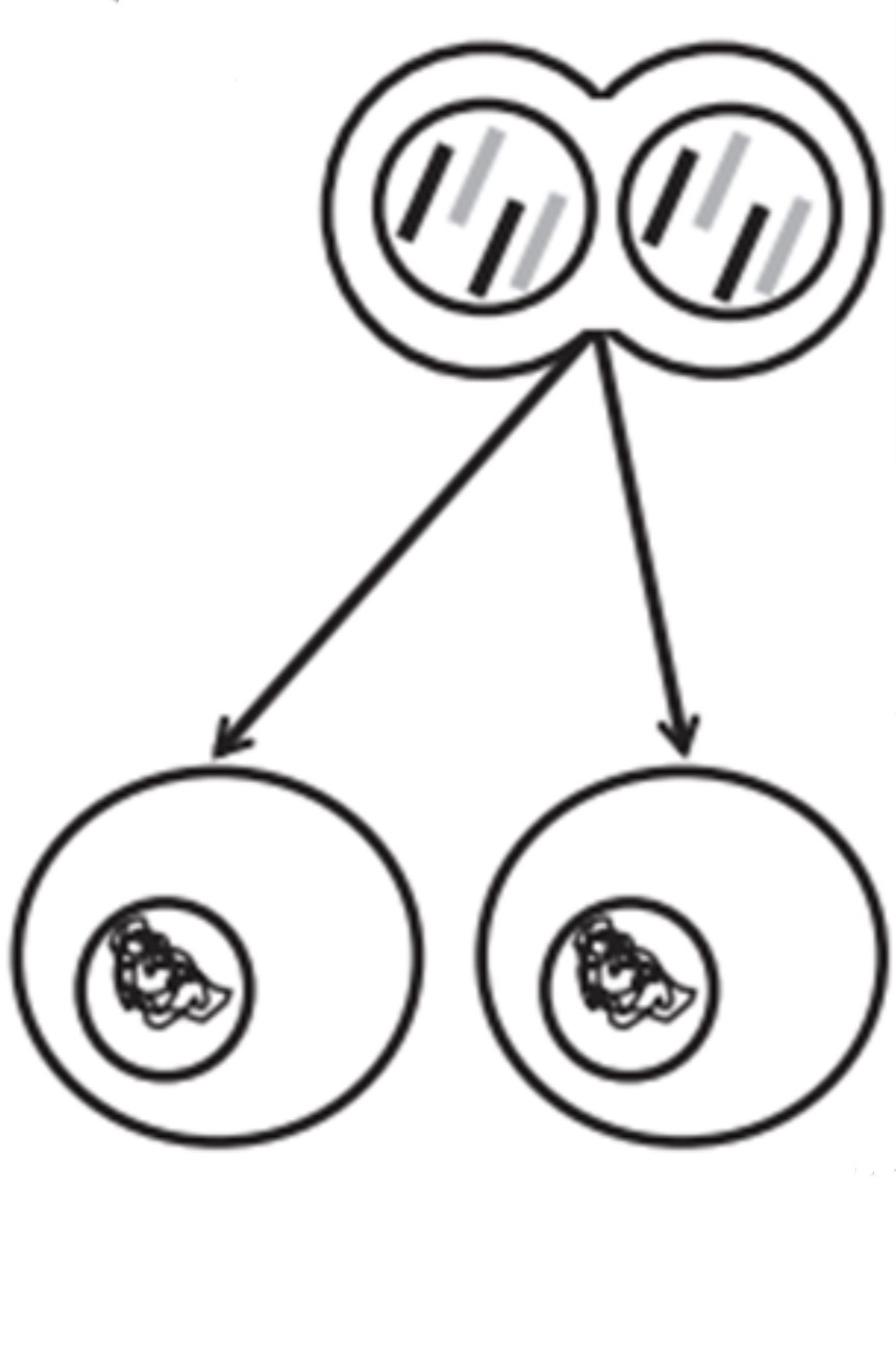 <p>What phase is this?</p>