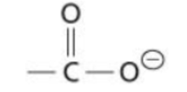 <p>A carboxyl group in its charged or basic form, in which the hydrogen atom on the hydroxyl is removed (COO<sup>-</sup>)</p>