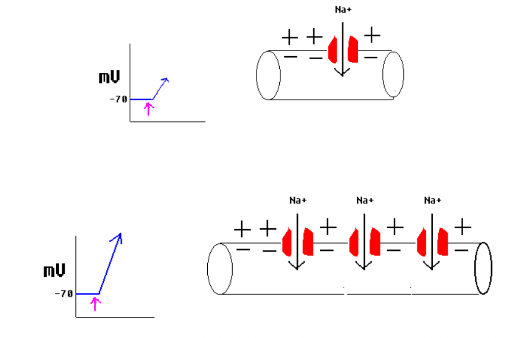 <p>More channels = larger change in voltage</p>
