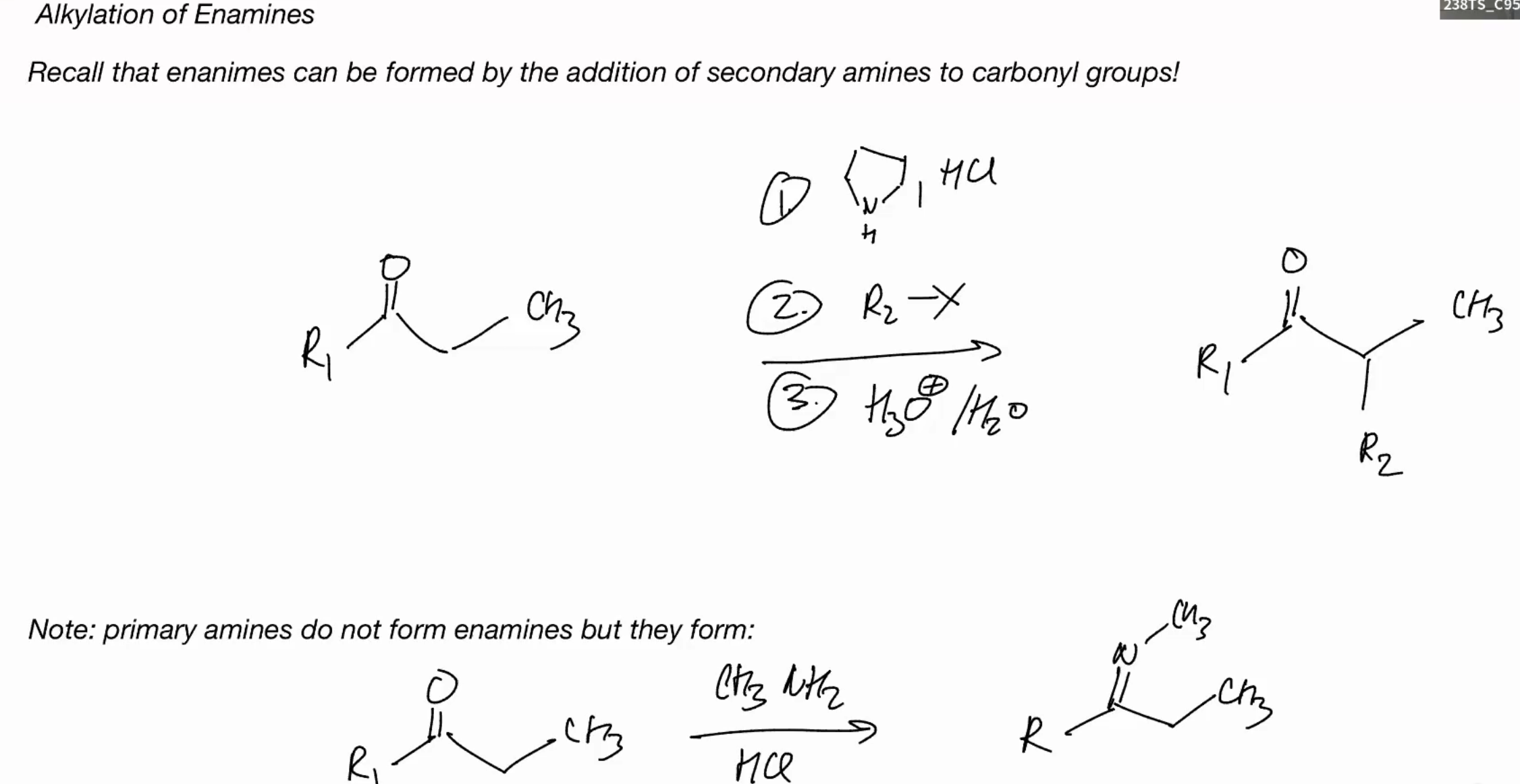 <p>Alkylation of enamines</p>