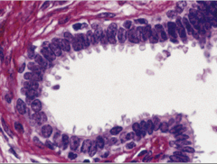 <p>What does this image show?</p>