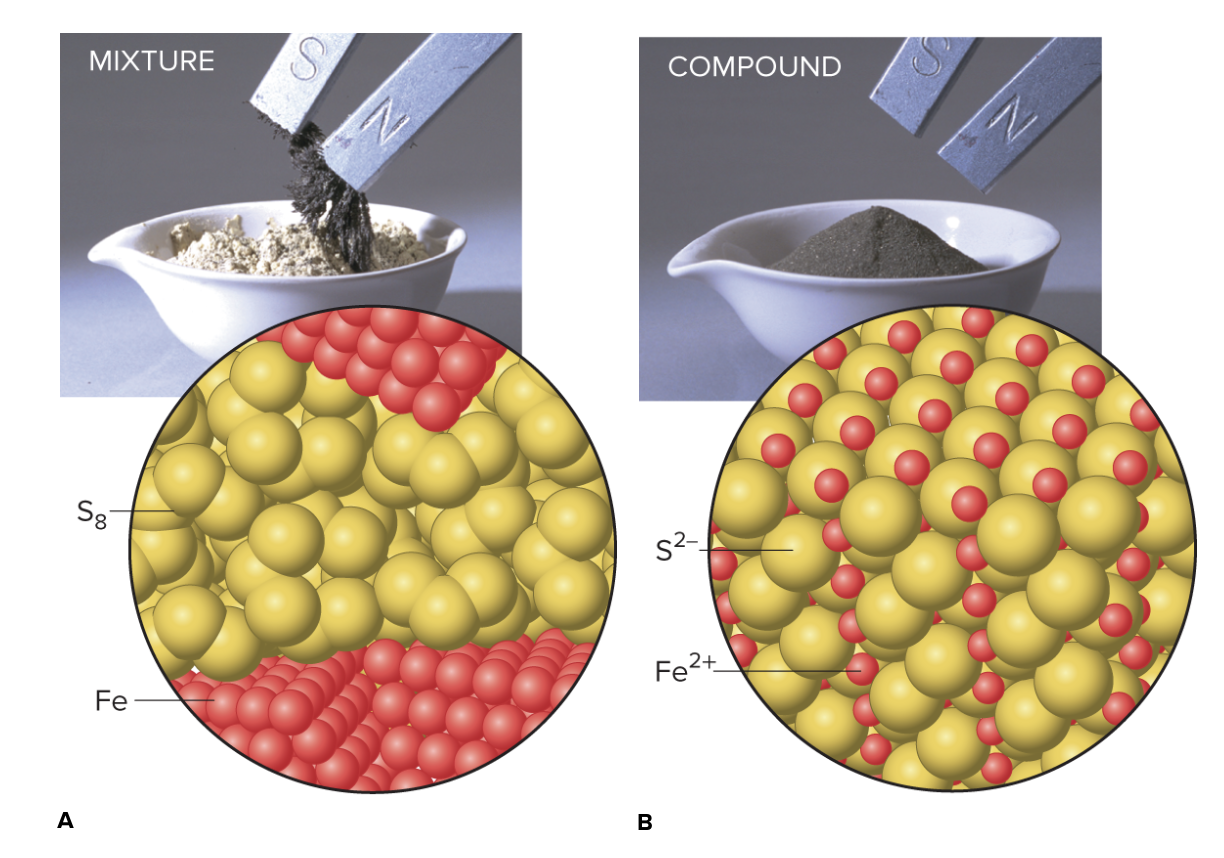 <p>In a mixture, the composition of a solution can change like in salt water. The ratio could be TONS of salt and a little water or vice versa—it’s still a mixture. <br><br>Mixtures can be separated by their components using physical changes. Chemical changes ARE NOT needed (but could work). Compounds have to be separated by chemical changes. <br><br>Look at the image for a great example! </p>