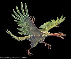 <p>1) had hand claws </p><p>2) had teeth</p><p>3) infused tail that be move</p>