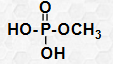 <p>What functional group is this?</p>
