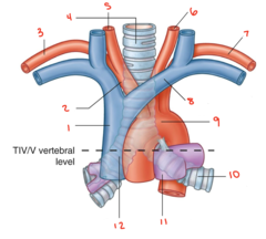 <p>What is labeled 3?</p>