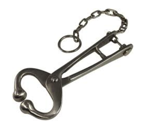 <p>Attached to the cow’s nose to work as a distraction and can make it easier to hand them.</p>