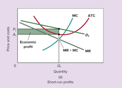 <p>When does the firm earn profit? (shortrun outcome)</p>
