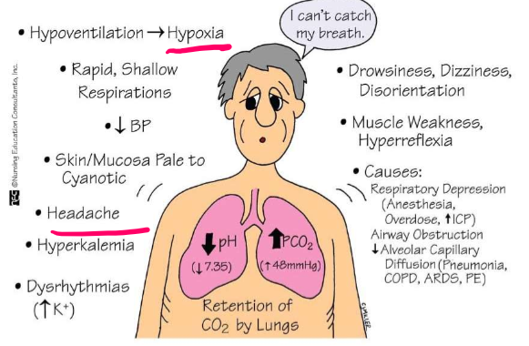 <p>What condition is displayed by signs and symptoms shown here?</p>