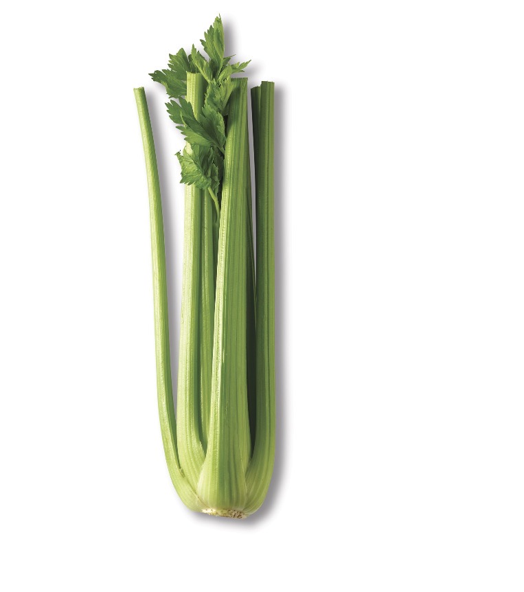 <p>Fresh celery stalk </p>
