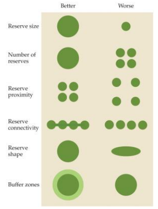 <p>The Best Spatial Configurations for Habitat Reserves</p>