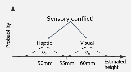 <p>-integrating from different sensory modalities </p><p>-what is felt haptically is shown at 50mm </p><p>-what is felt visually is shown at 60mm</p><ul><li><p>two different distributions - deliberately introduced mismatch in experiment </p></li></ul><p>-now have their own uncertainty with each distribution </p><p>-normative model tells us that integration should be proportional to uncertainty in two signals → helps to resolve conflict </p>