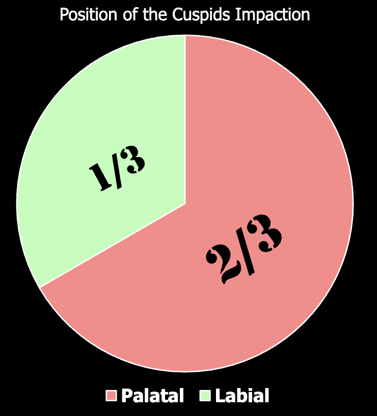 <p>palatally</p>