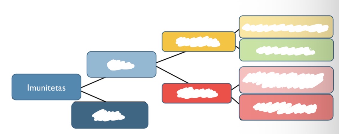 <p>Kaip skirstomas imunitetas?</p>
