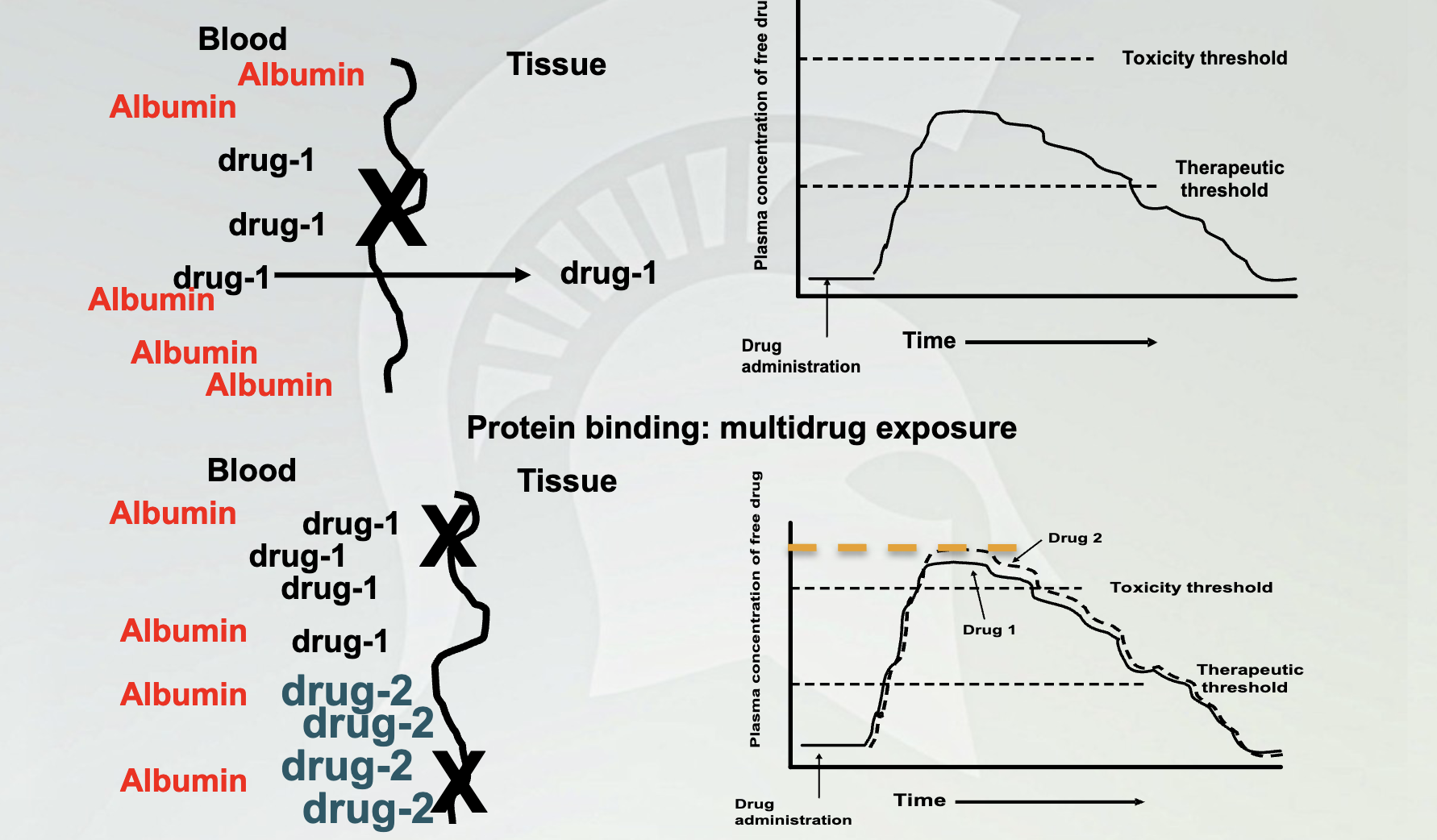 <p>What is this slide illustrating?</p>