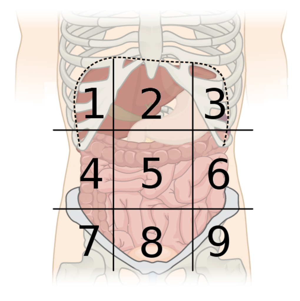 <p>4 </p>