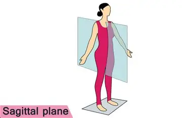 <p>divides body into right & left halves </p>