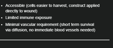 <p>Accessible, Limited immune exposure, Minimal vascular requirement </p>