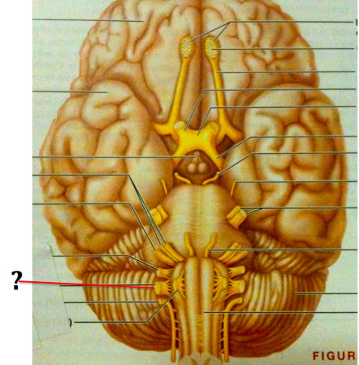 <p>X.</p>