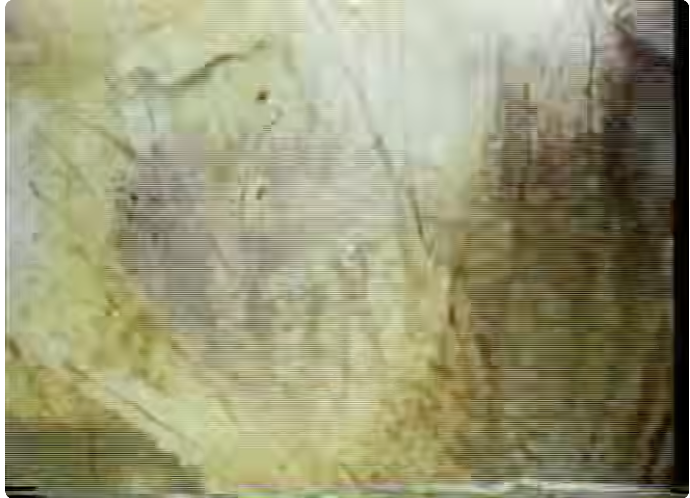 <p><span>is a silent "collage film" produced without the use of a camera. An example of what a montage is. </span></p>
