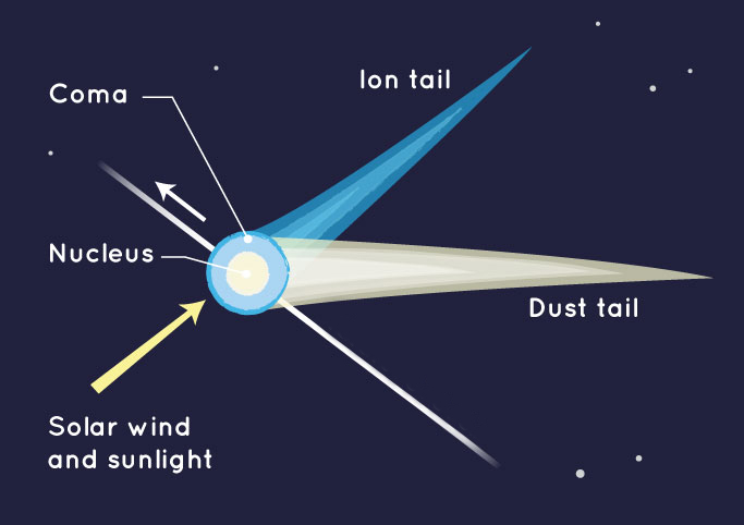 <p>Small frozen objects that release gases to create a tail when they orbit close to the sun.</p>
