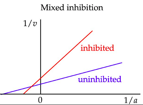 <ul><li><p><em>K</em><sub>m</sub> is increased (as for competitive inhibition). X-intercept shifts left or right.</p></li><li><p><em>V</em><sub>max </sub>is decreased (as for non-competitive inhibition). Y-intercept increases.</p></li><li><p>The lines intersect left of the y-axis</p></li></ul><p></p>