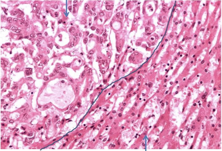 <p>What is this?</p>