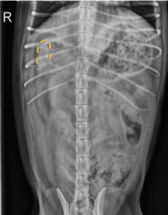 <p>What is the orange line showing?</p>