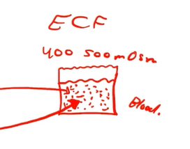 <ul><li><p>Stimulate thurst</p></li><li><p>Release ADH</p></li></ul><p></p>