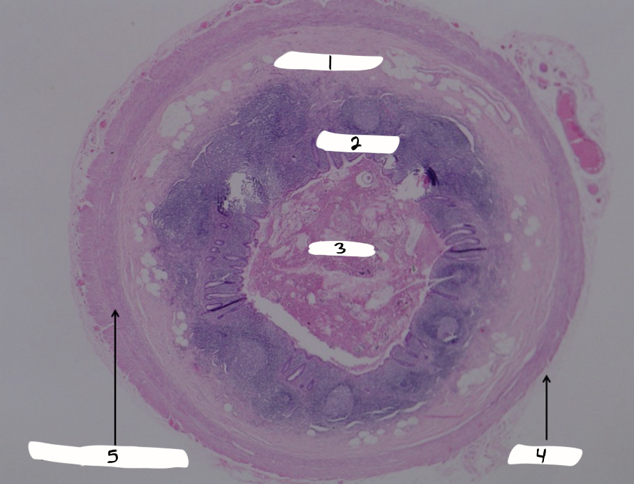 <p>what is this a sample of?</p>