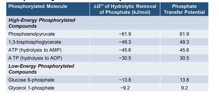 <p><span>The <strong>more negative ΔG°</strong>’, the _____ (higher/lower) phosphate transfer potential, which means it will be ______ (non-spontaneous/spontaneous).</span></p>
