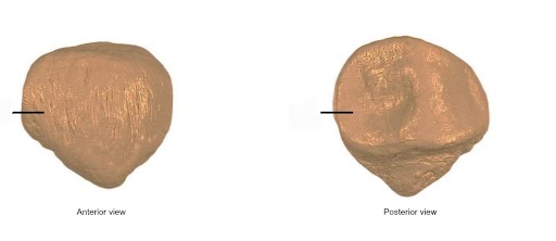 <p>what the bone</p>