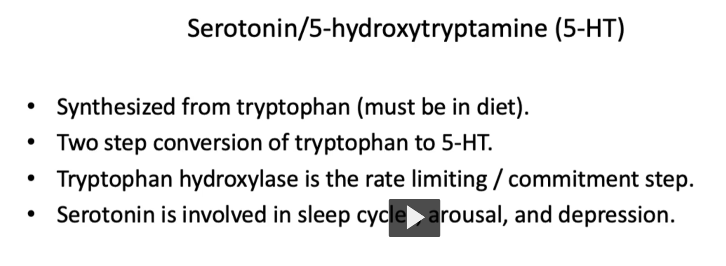 <p><u>Serotonin/5-hydroxytryptamine (5-HT)</u></p><ul><li><p><strong>Serotonin</strong> is <strong>synthesized</strong> from <strong>tryptophan</strong> (tryptophan must be in diet, meaning <strong>tryptophan</strong> <strong>is an essential amino acid</strong>).</p></li><li><p>Two step conversion of tryptophan to 5-HT.</p></li><li><p><strong>Tryptophan hydroxylase</strong> is the<strong> rate limiting</strong> / <strong>commitment step</strong> for the <strong>conversion</strong> of <strong>tryptophan</strong> to <strong>serotonin</strong>. </p></li><li><p>Serotonin is involved in <strong>mood</strong>, <strong>sleep cycle</strong>, <strong>arousal</strong>, and <strong>depression</strong>.</p></li></ul><p></p>