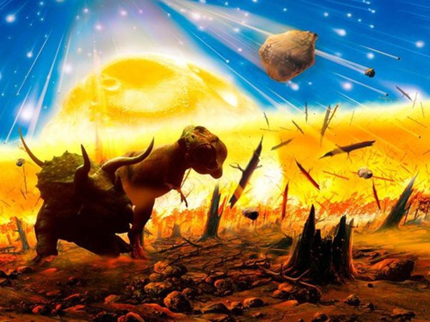 <p>(n) extinction of 75% or more of species within a time span of several million years</p>