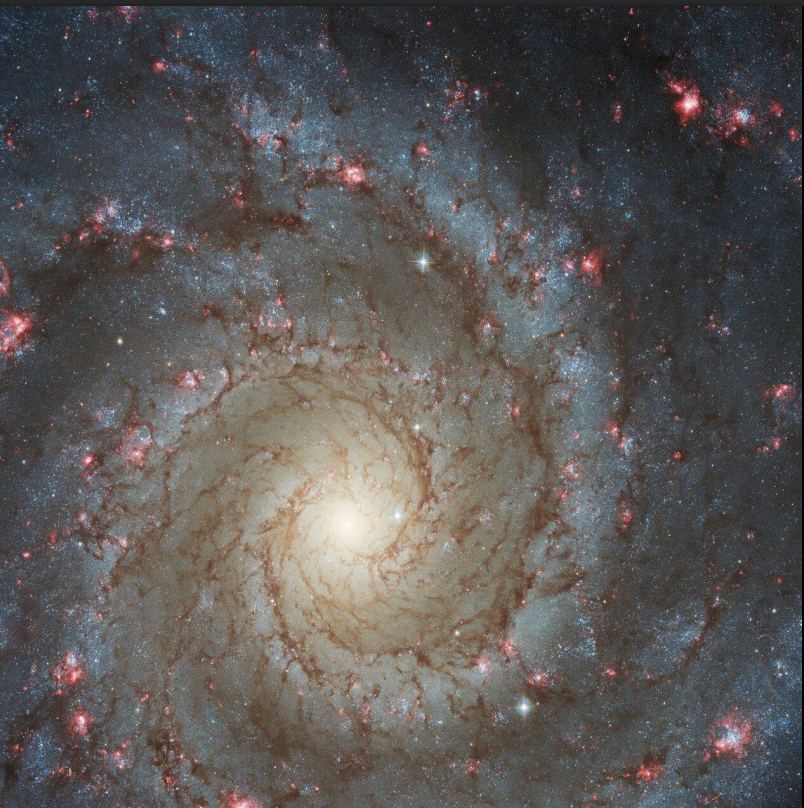 <p>When pink from massive stars emitting high energy photons and ionizing neutral hydrogen in its surroundings </p><ul><li><p>Indicates recent star formation</p></li></ul><p>The blue light is coming from the massive stars themselves, the pink light is coming from what the massive stars DO to their surroundings!</p>
