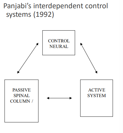 <p>Back pain occurs when deficit in one subsystem can no longer be compensated for by another</p><p>3 subsystems are matched</p><ul><li><p>if have passive failure → will lead to muscle dysfx → changes in control → pain</p></li></ul><p></p><p>Spinal stability (PASSIVE) (ligaments + art surfaces)</p><ul><li><p>interspinous + supraspinous ligaments + facet joints + joint capsules + intv discs  = stabilising structures for trunk flexion</p></li><li><p>ant long. lig + ant aspect of anular fibrosis + facet joints = stabilise end range trunk ext</p></li><li><p>intervertebral discs + facet joints = rotational mvnts</p></li></ul><p></p><p>Spinal stability (ACTIVE)</p><ul><li><p>consists of spinal muscles + tendons</p></li><li><p>Lumbar spine = unstable at low loads when muscles removed</p></li><li><p class="ds-markdown-paragraph">Shows muscles are essential for spinal stability</p></li><li><p class="ds-markdown-paragraph">Muscle activity = critical even for light tasks</p></li></ul><p></p><p>Spinal stability (NEURAL)</p><ul><li><p>Neural control = receives input from passive + active subsystems</p></li><li><p class="ds-markdown-paragraph">Determines what's needed to keep spine stable</p></li><li><p class="ds-markdown-paragraph">If neural control dysfunction + not restored after injury → other spinal structures at risk of injury</p></li><li><p class="ds-markdown-paragraph">LBP patients = often have persistent neuromuscular control deficits</p></li><li><p class="ds-markdown-paragraph">Recovery of proper neural control = NOT automatic after initial injury</p></li></ul><p></p><p></p>