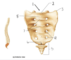 <p>5</p>