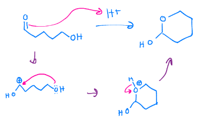 <p>Intramolecular hemiacetal. Need an aldehyde an alcohol</p>