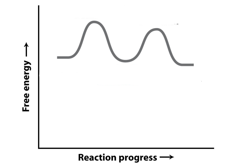 <p>Label this diagram for the reaction catalyzed by glyceraldehyde-3-phosphate dehydrogenase</p>