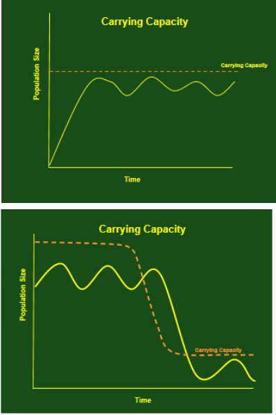 <p>#of individuals of a species that can be sustainably supported without degrading the resource base</p><p>when the carrying capacity is exceeded it degrades</p>